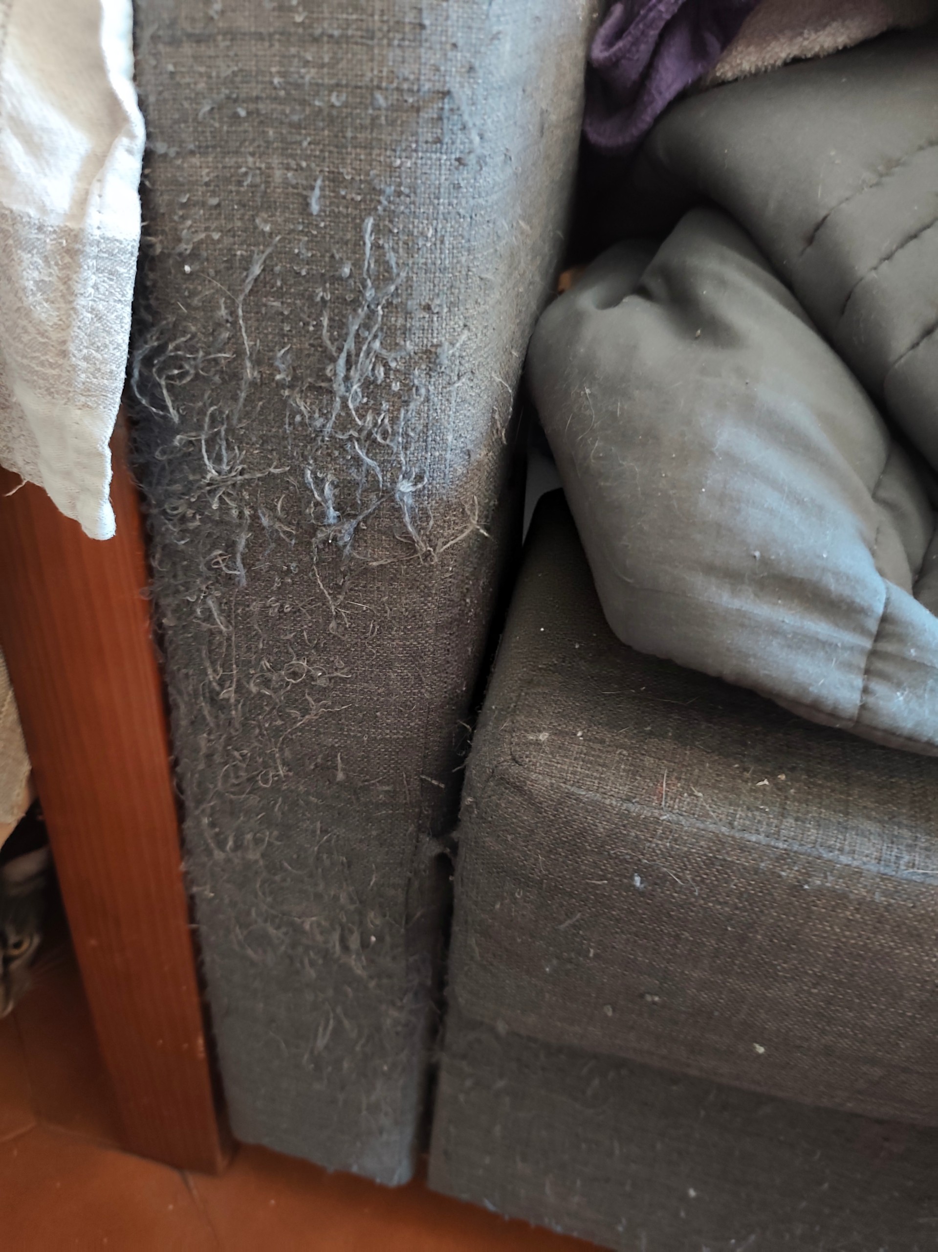 Seller photo