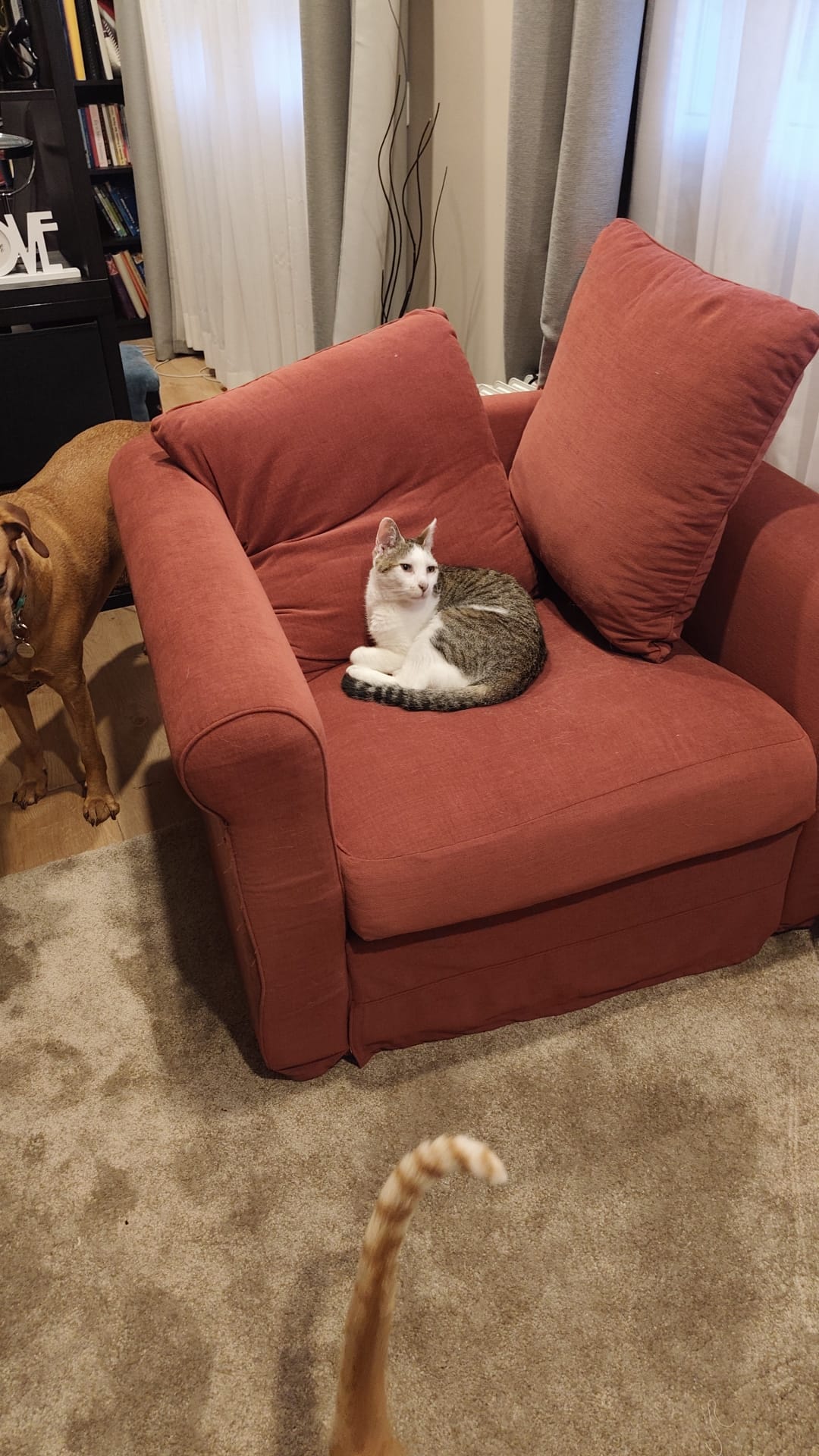 Seller photo