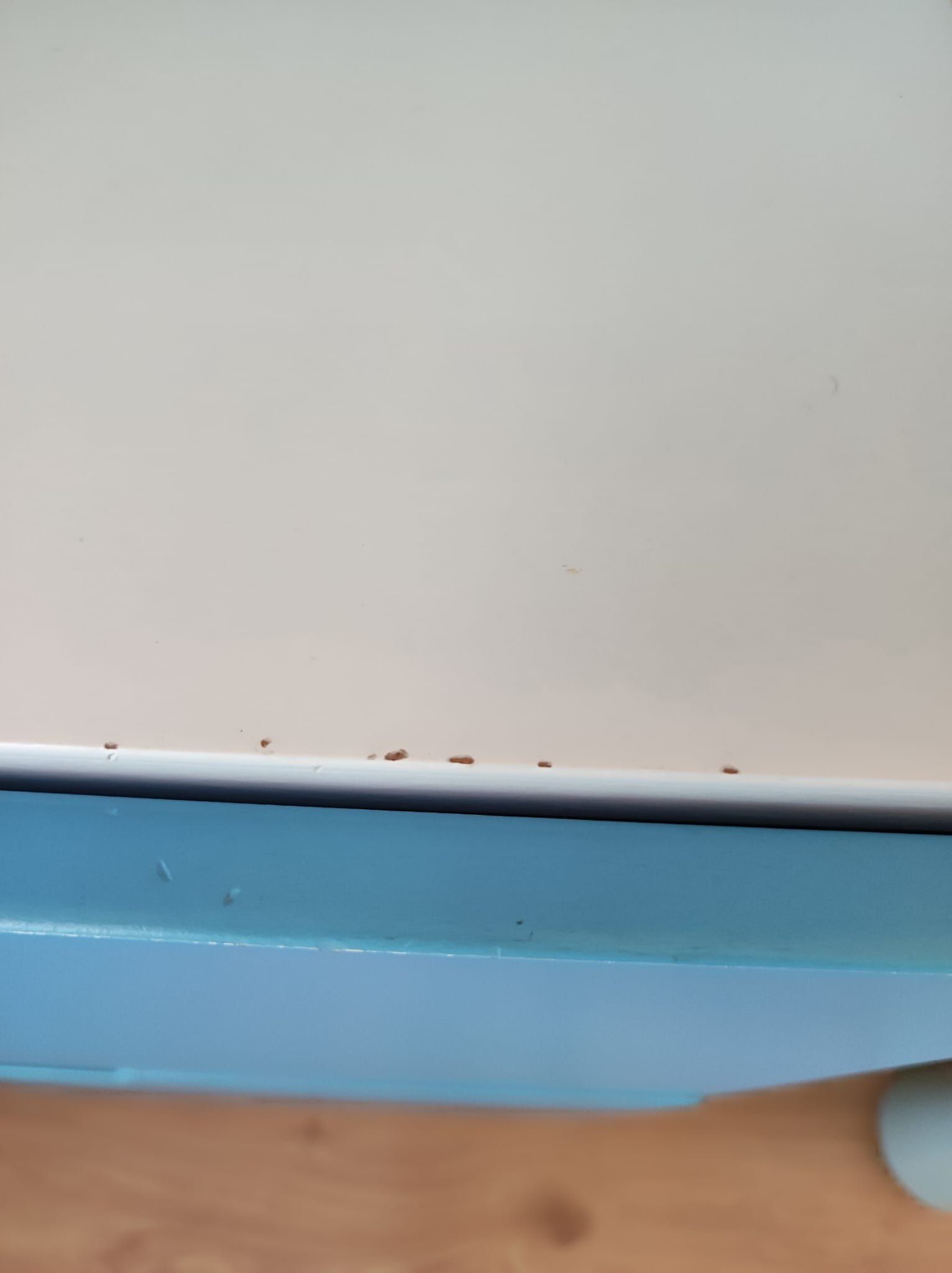 Seller photo