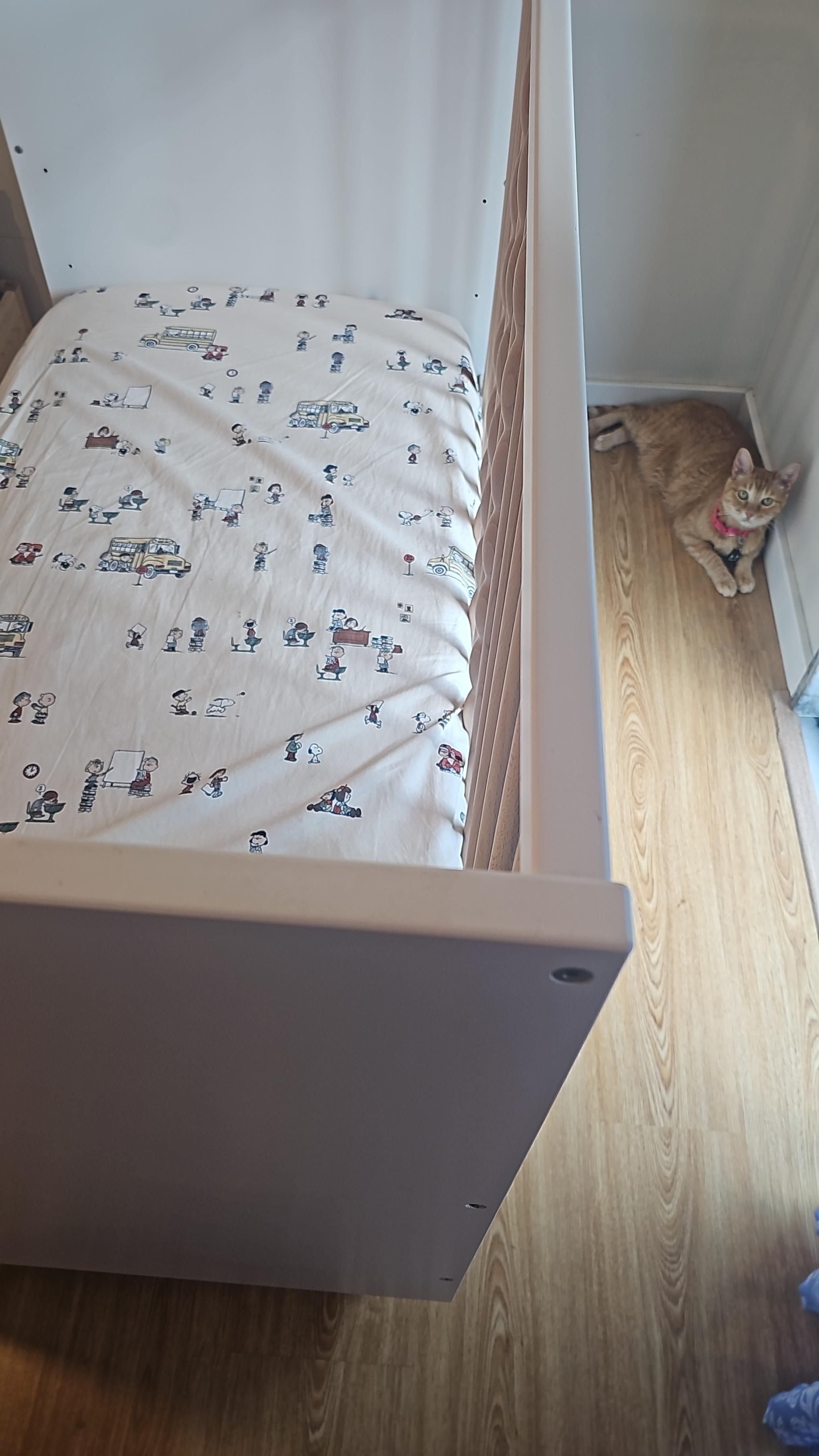 Seller photo