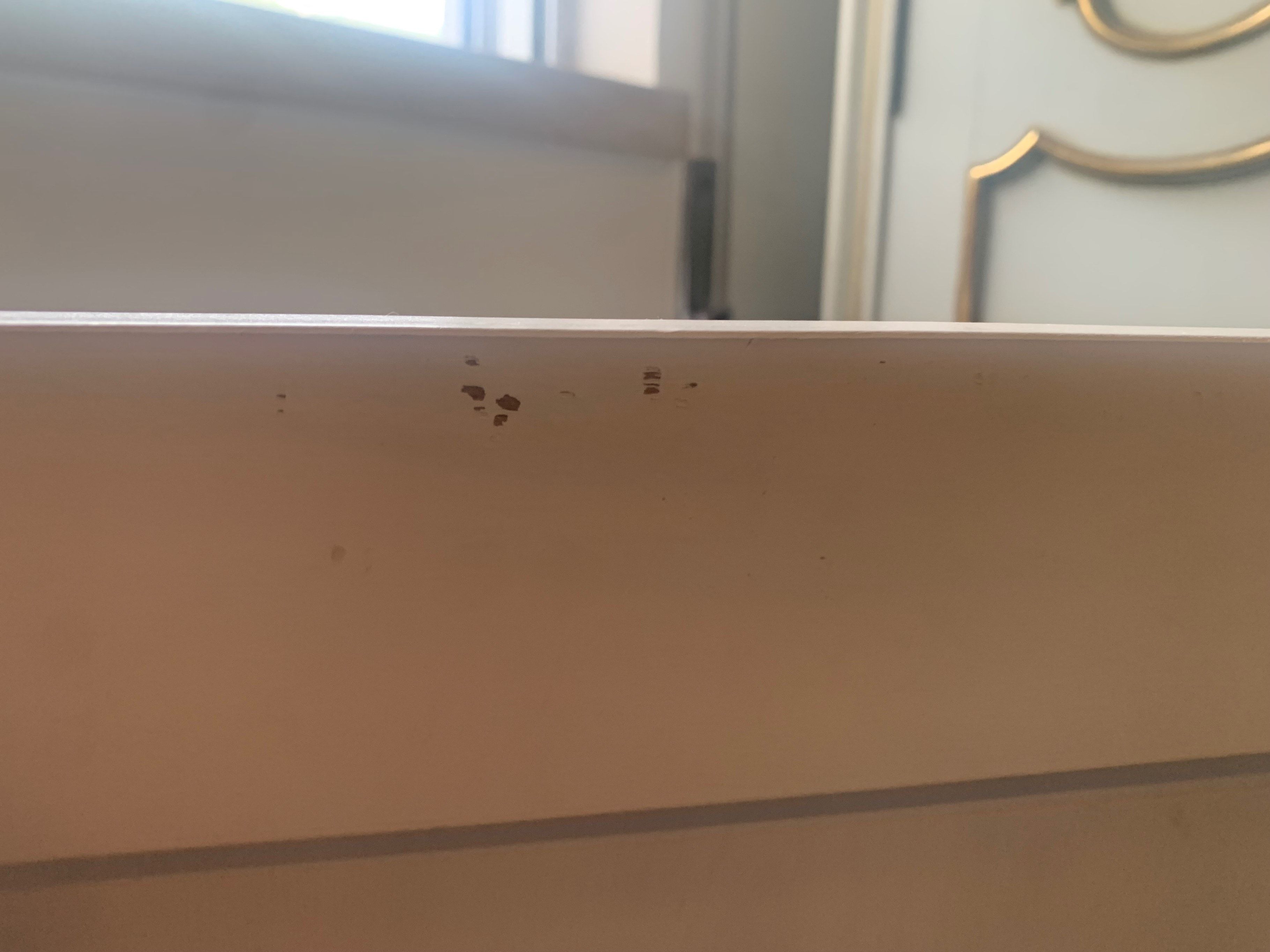 Seller photo