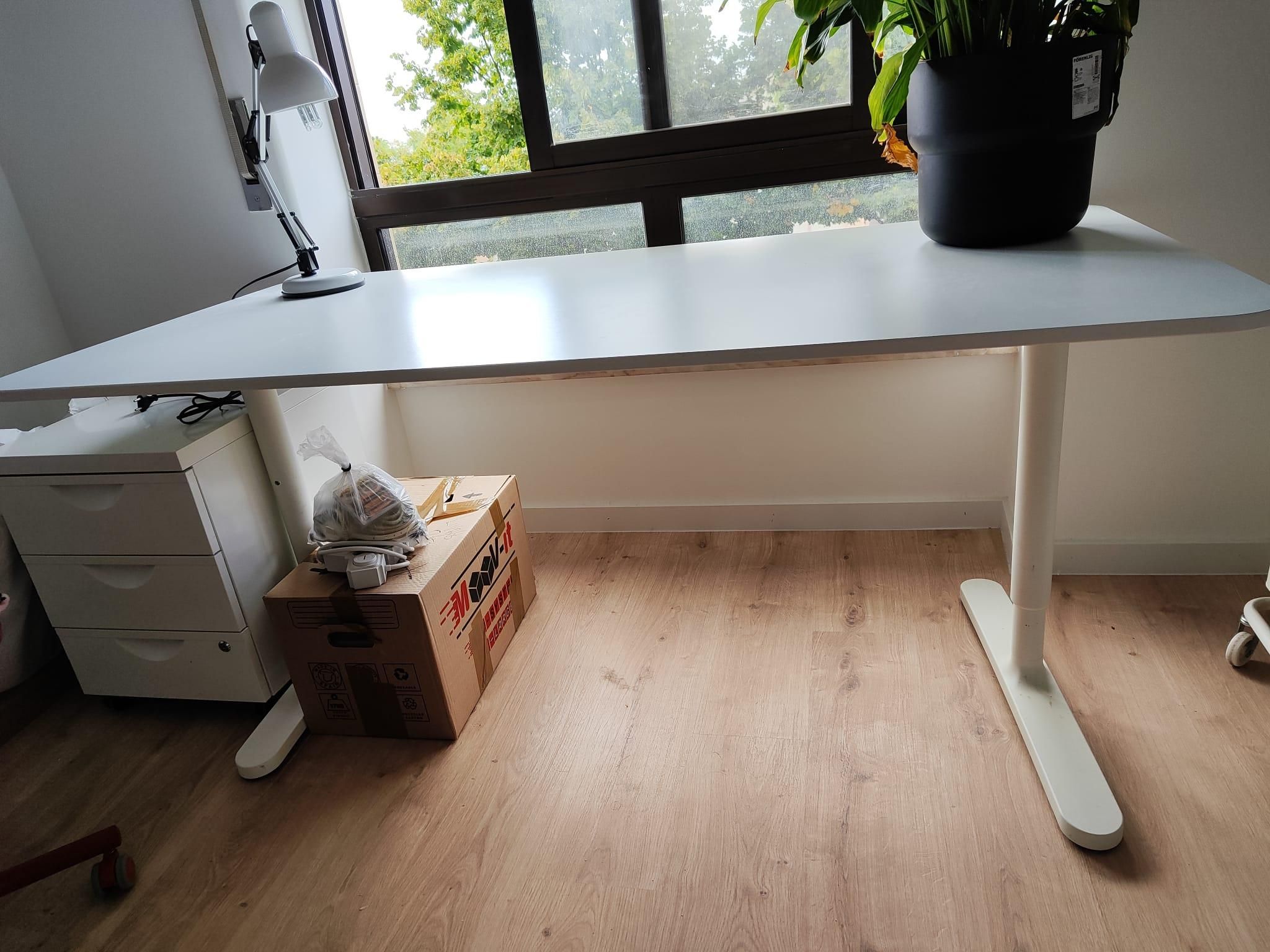 Seller photo