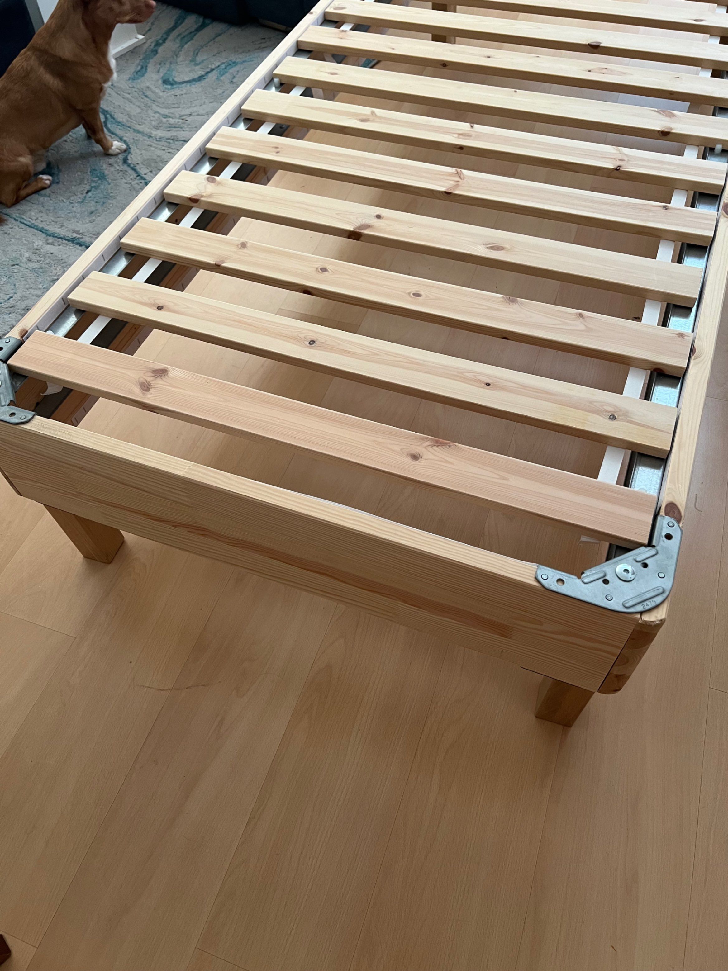Seller photo
