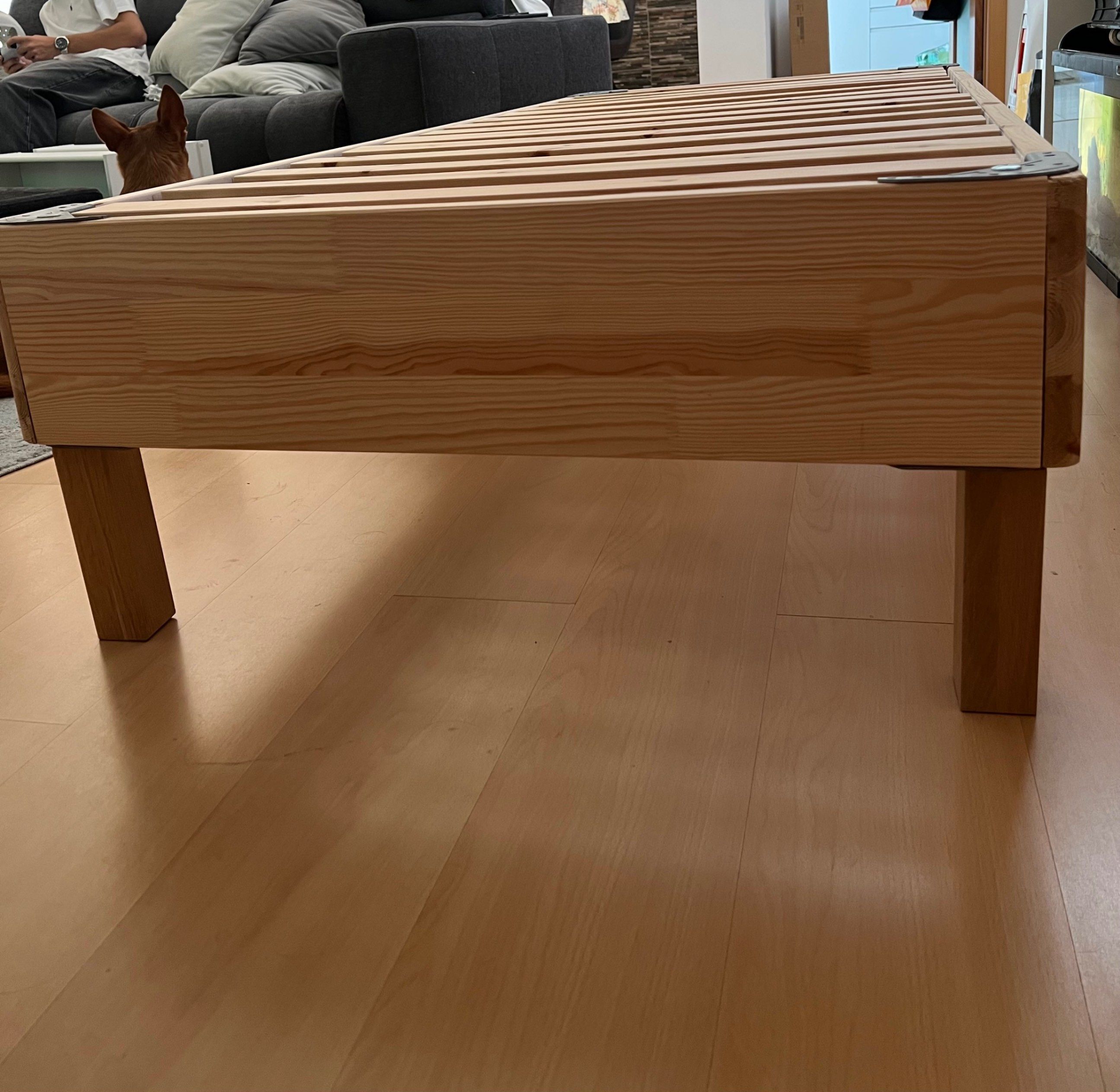 Seller photo