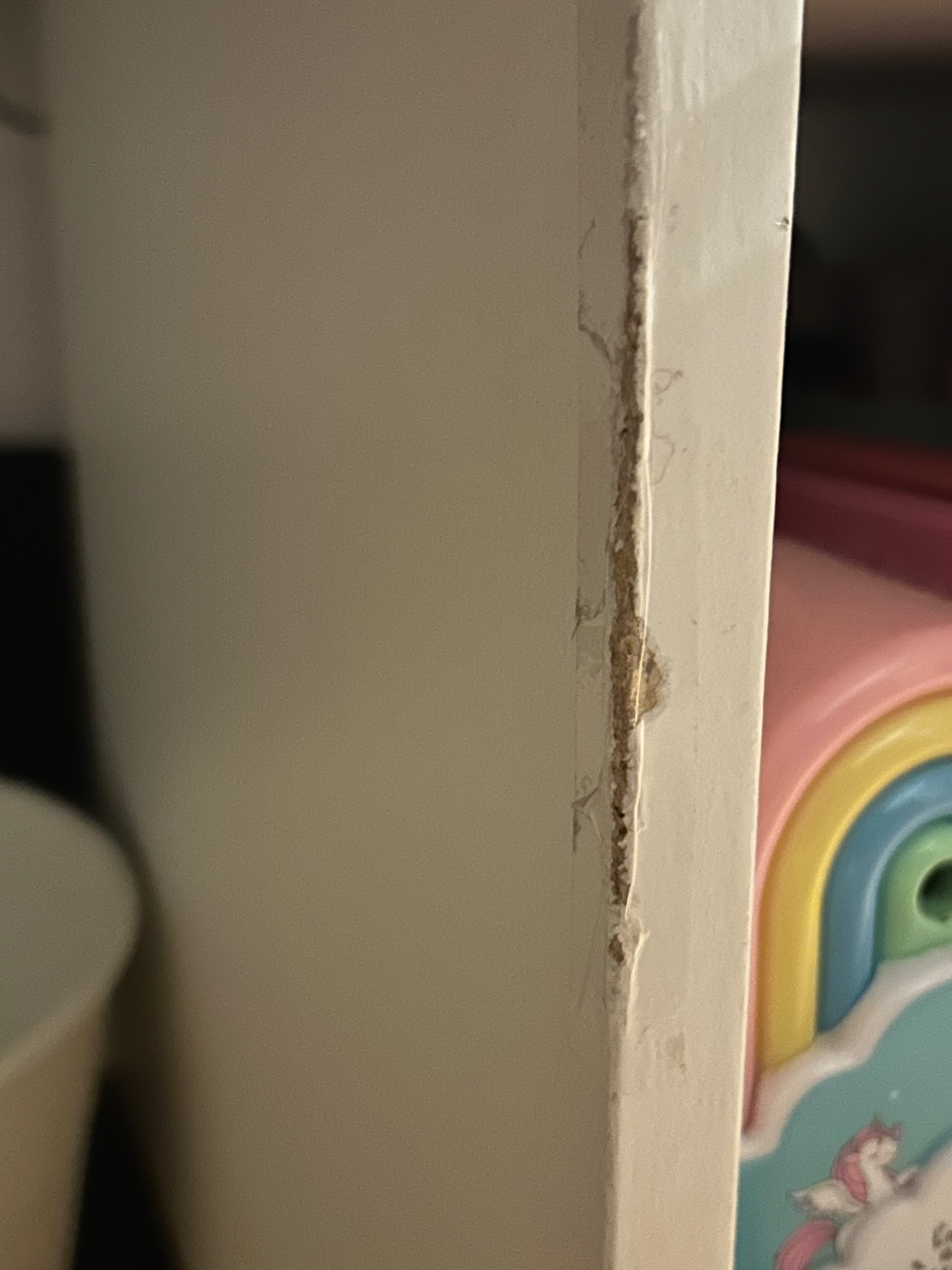 Seller photo