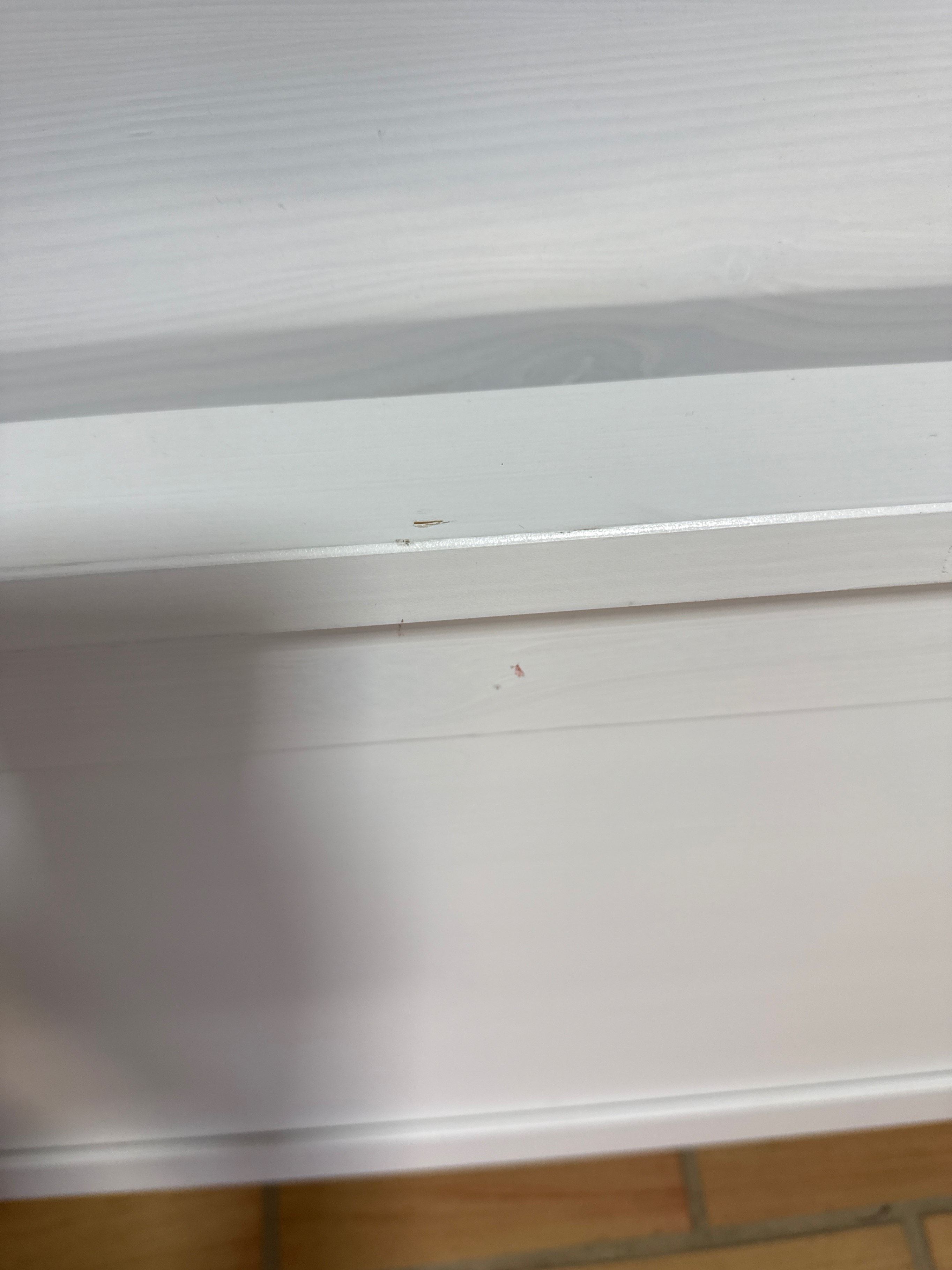 Seller photo
