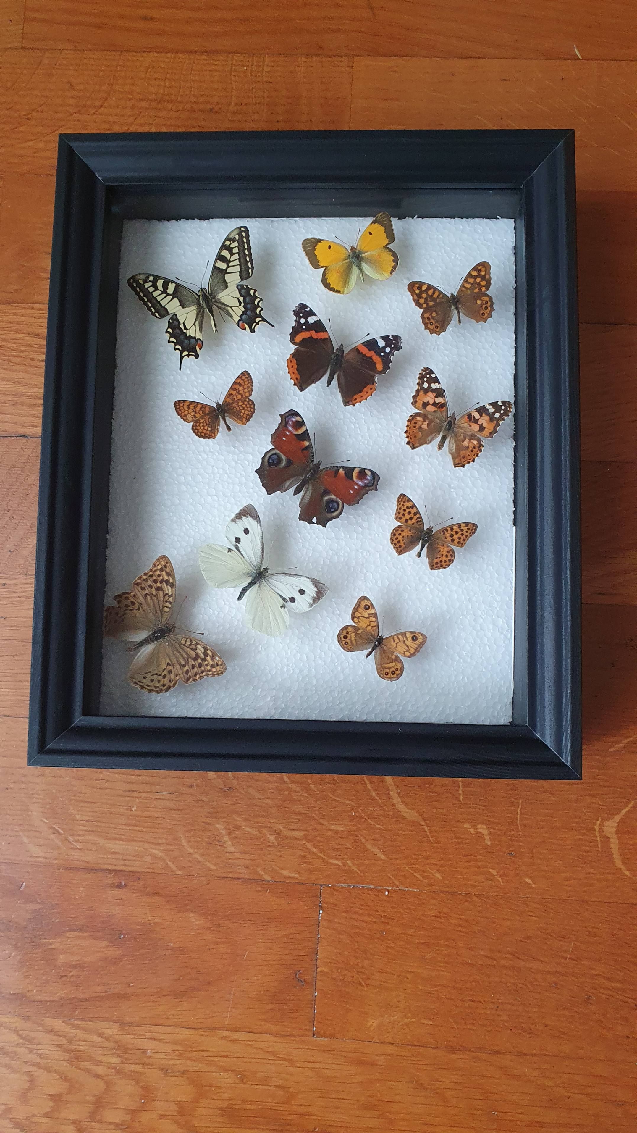 Seller photo
