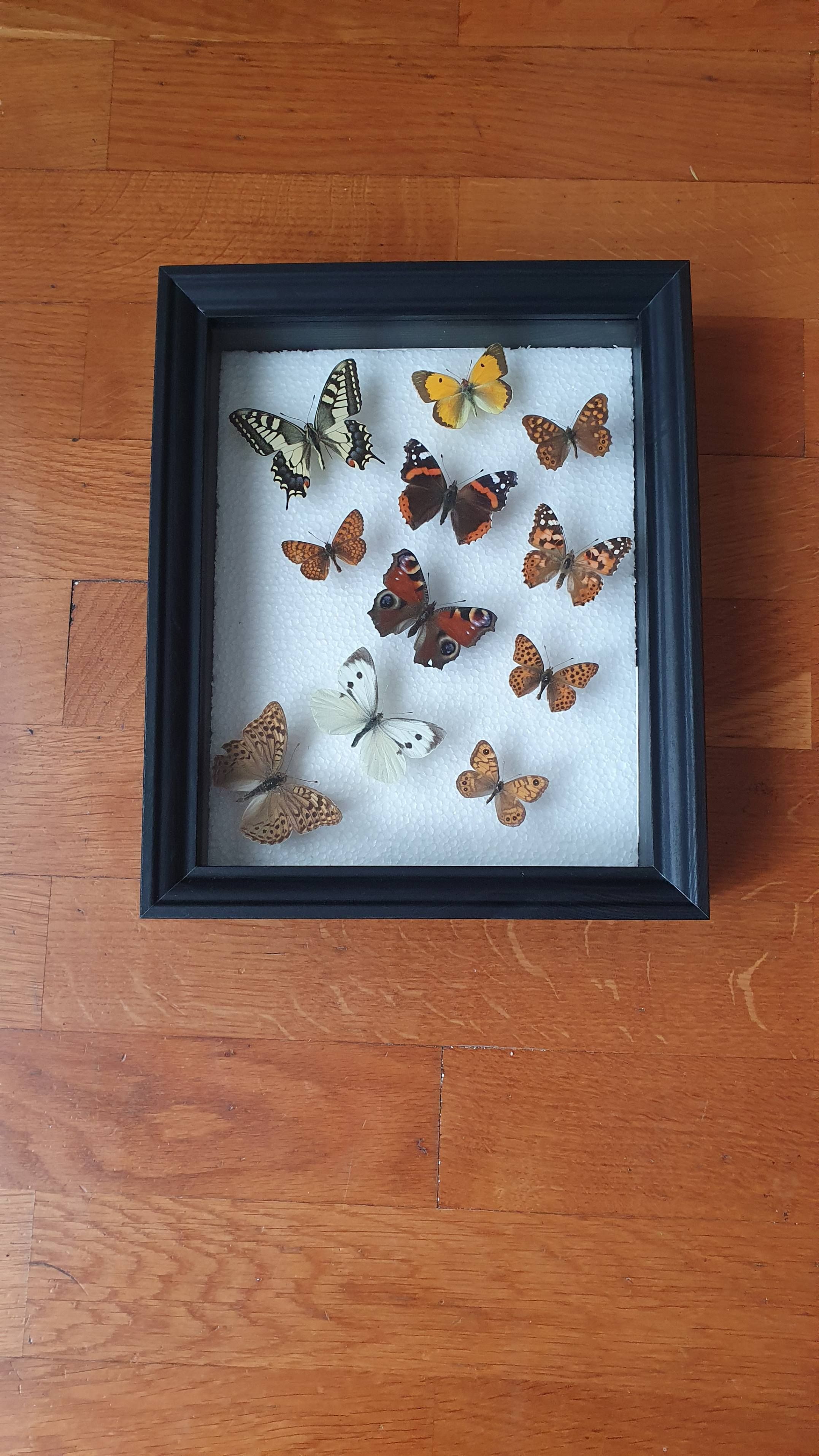Seller photo