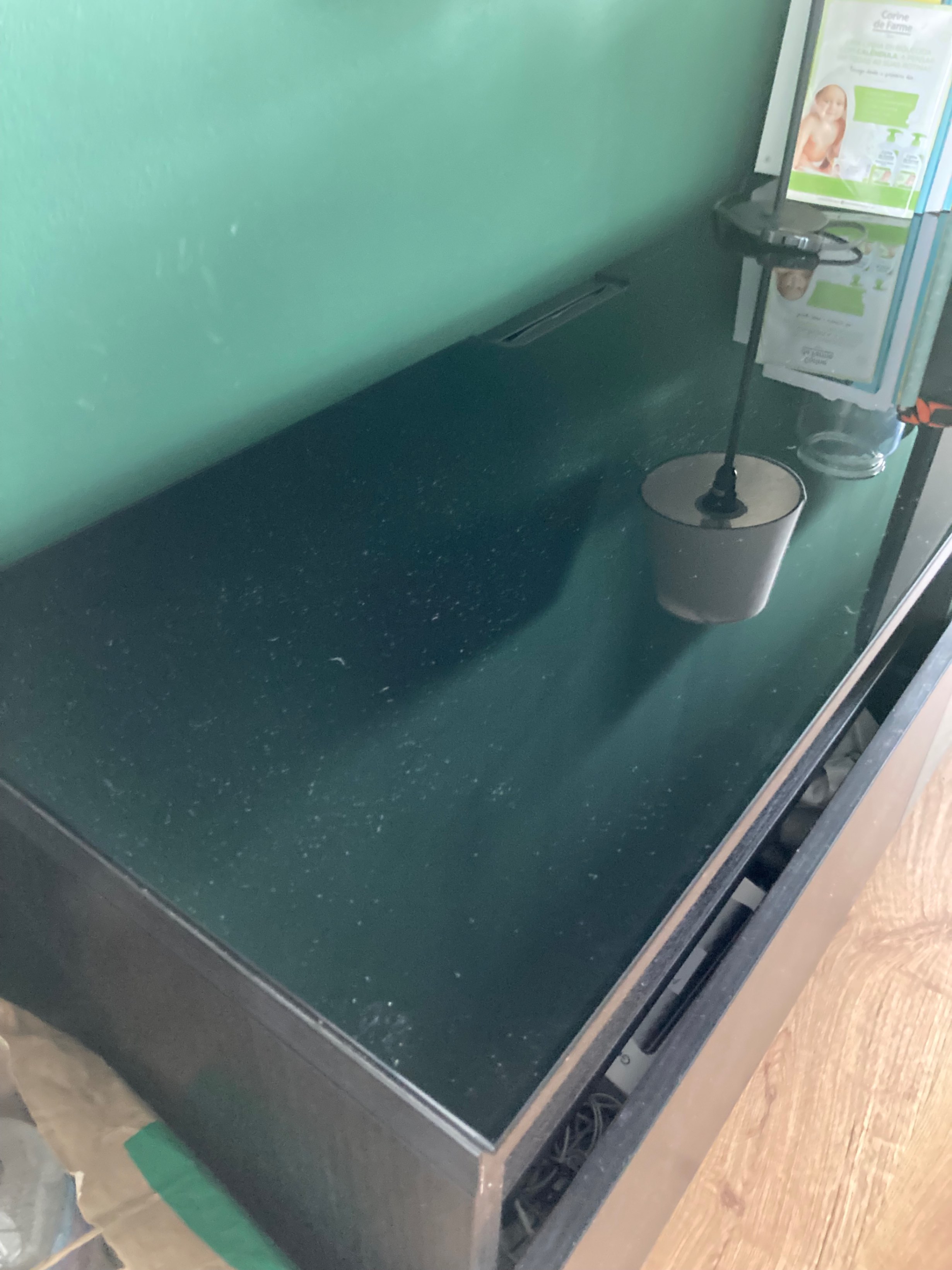 Seller photo