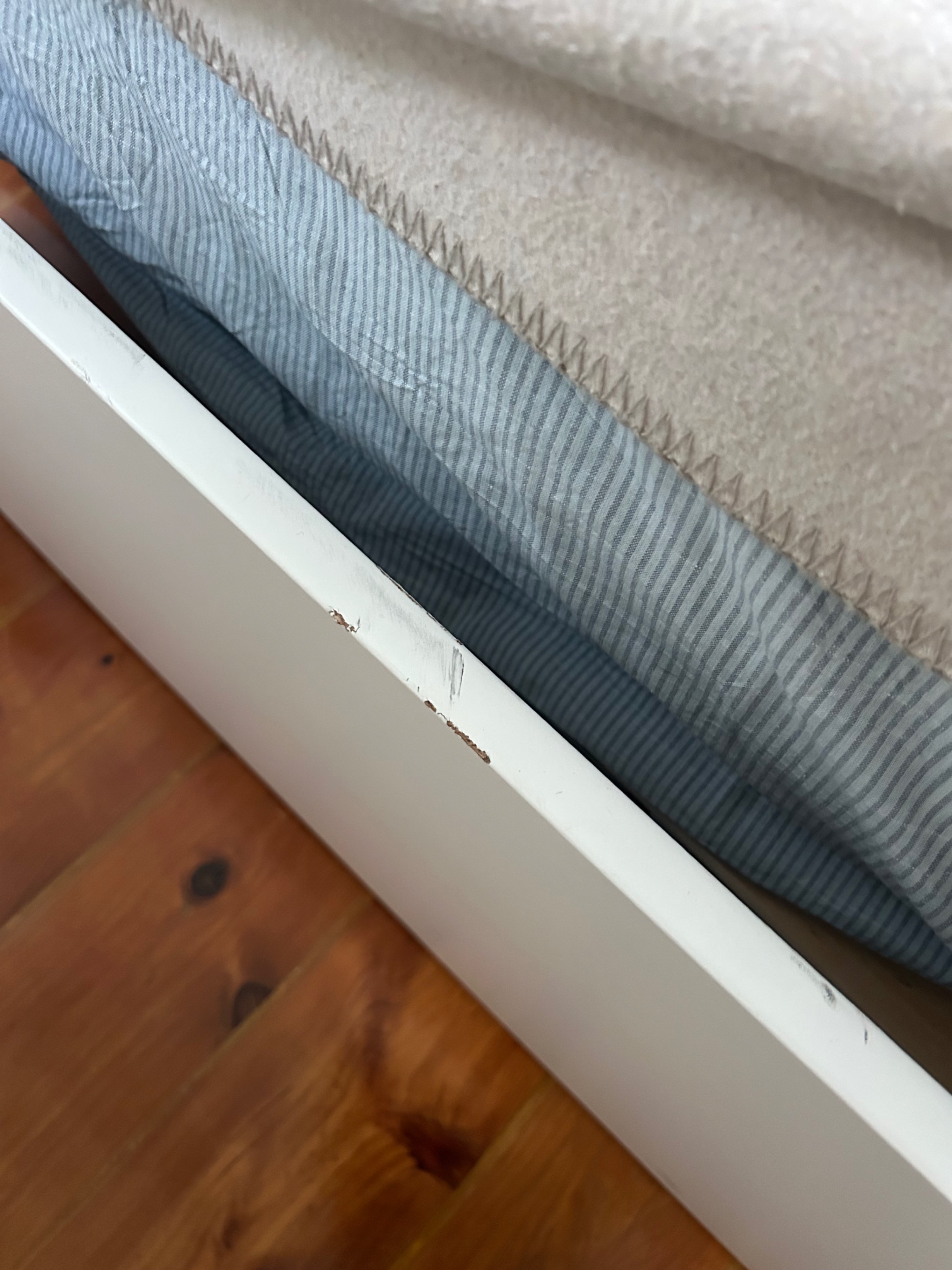 Seller photo