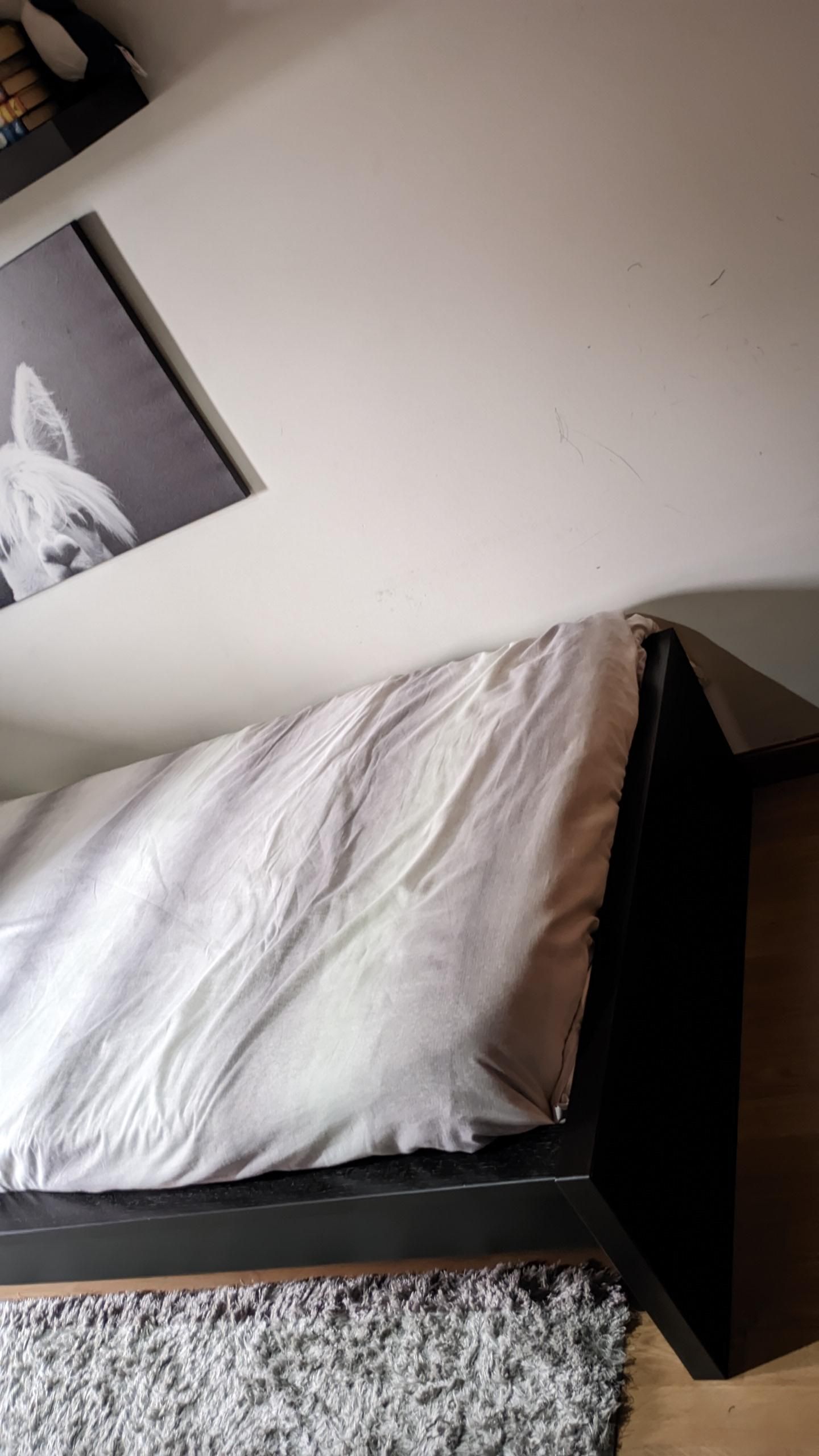 Seller photo
