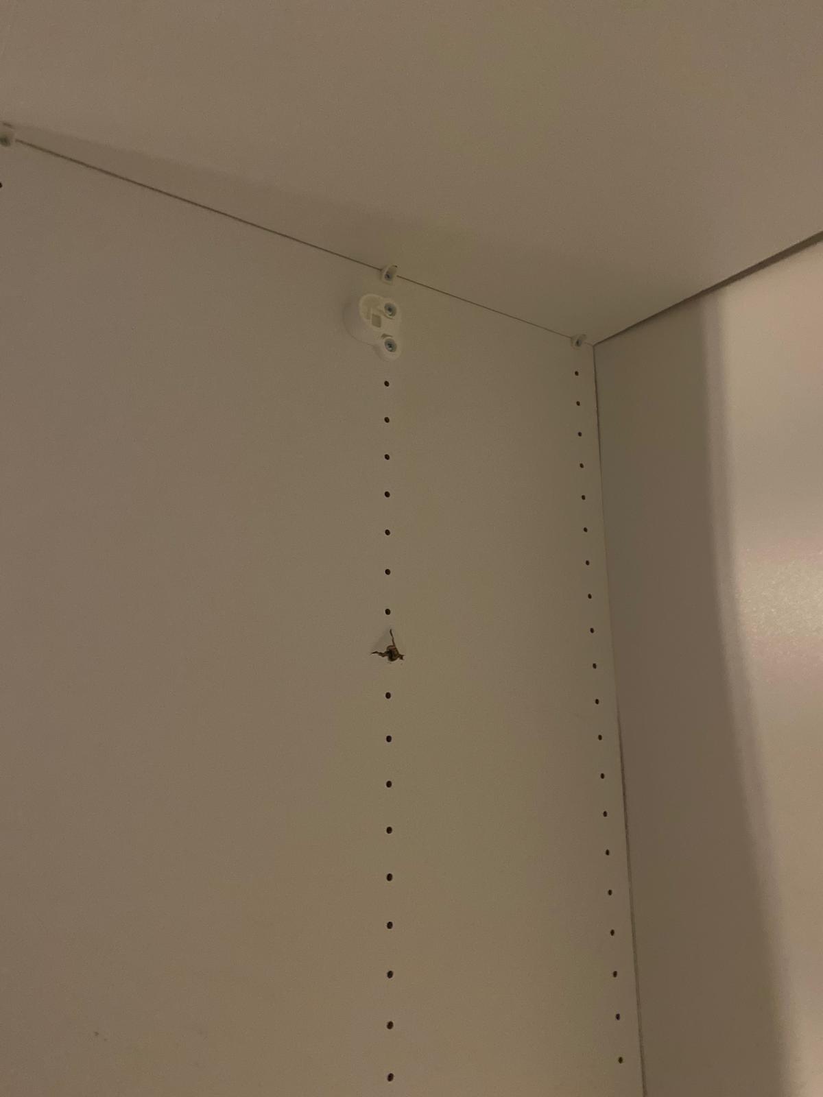 Seller photo