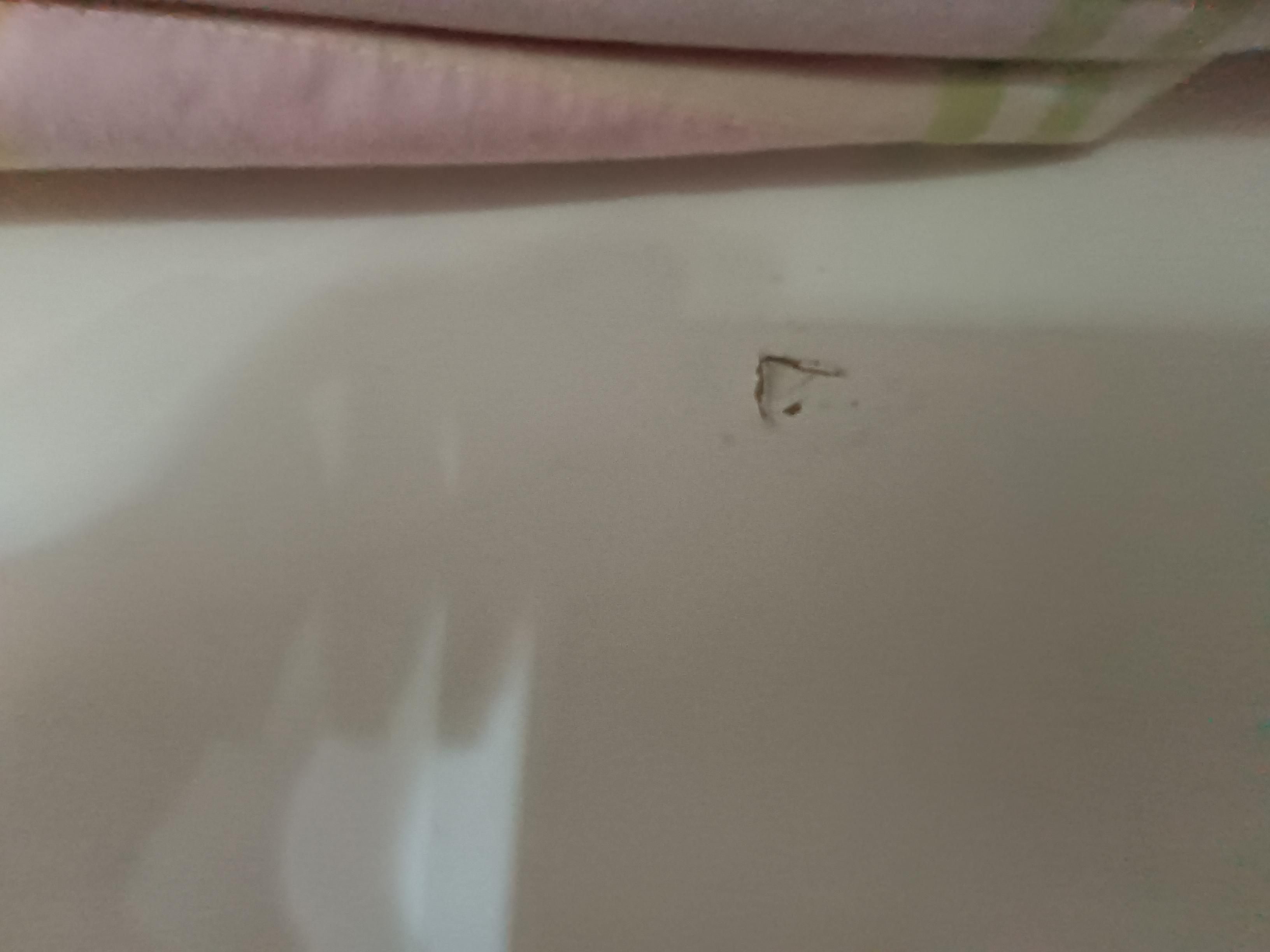 Seller photo