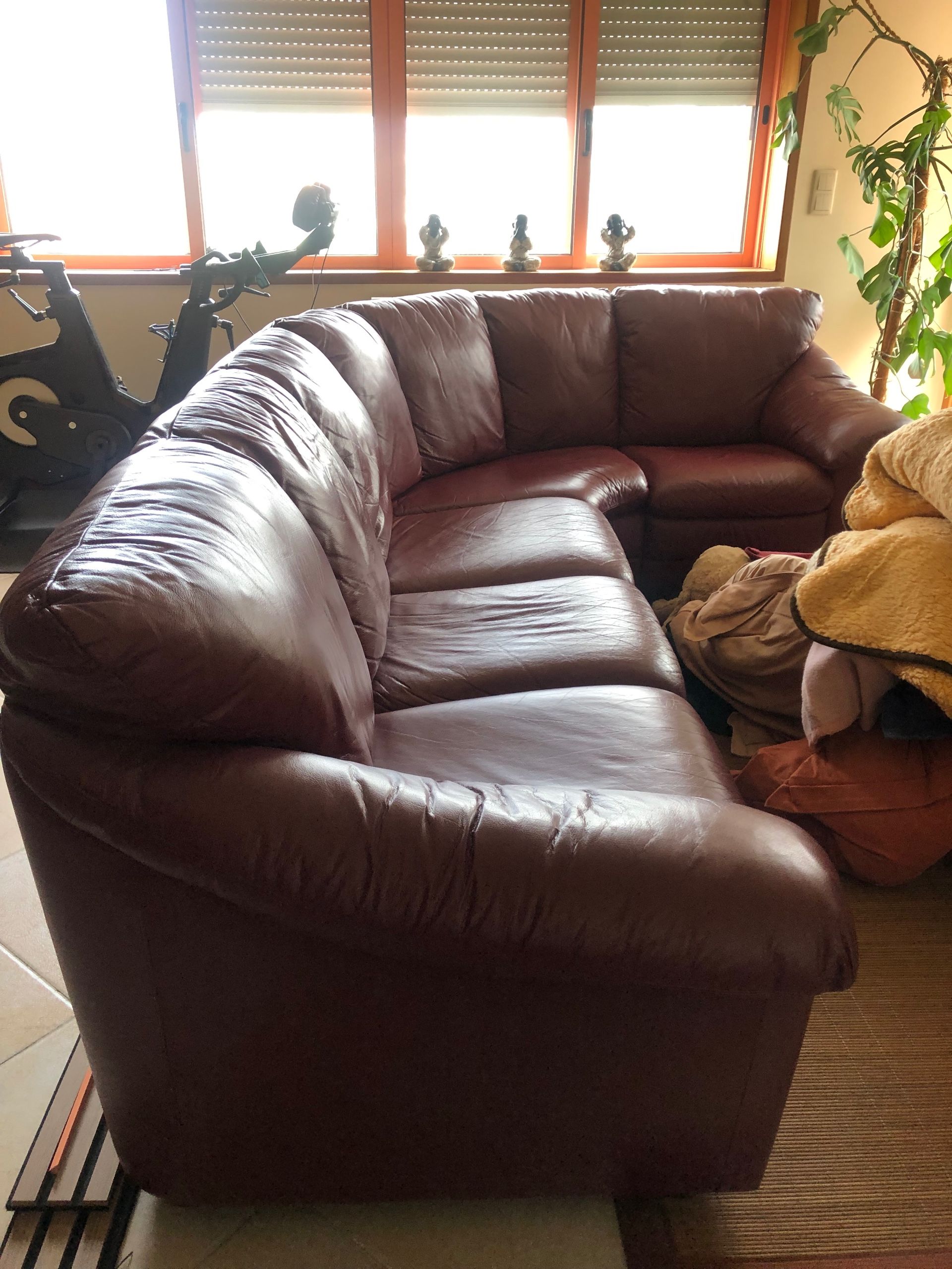 Seller photo