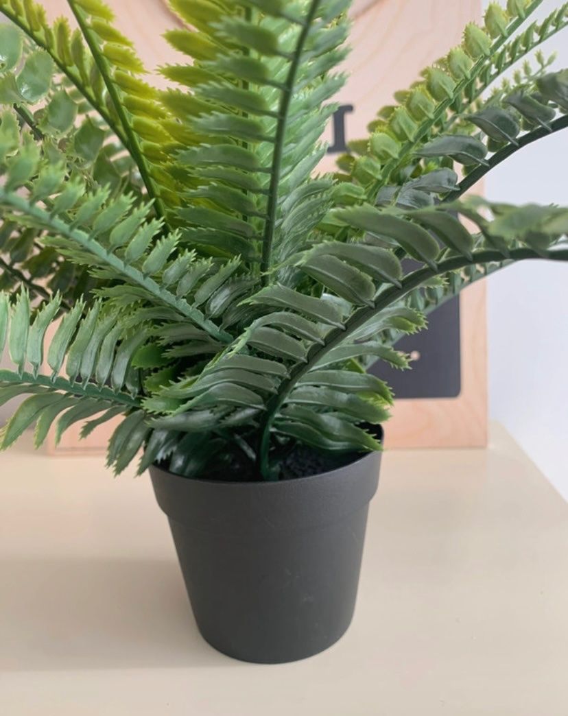 Seller photo
