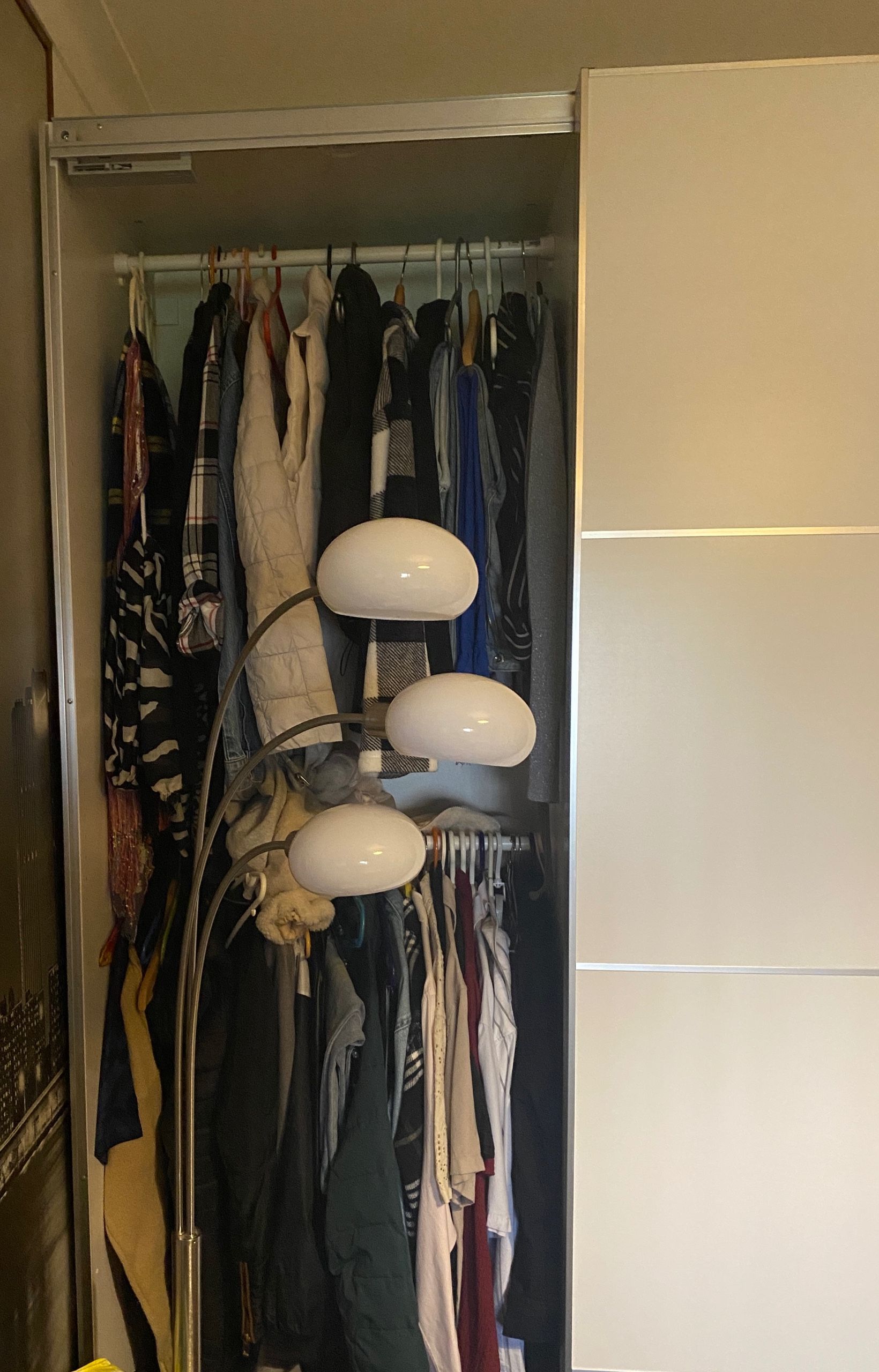 Seller photo