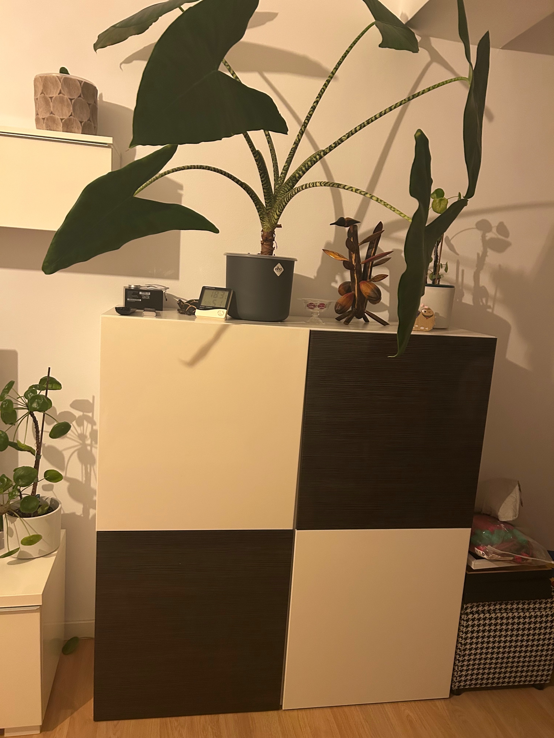 Seller photo