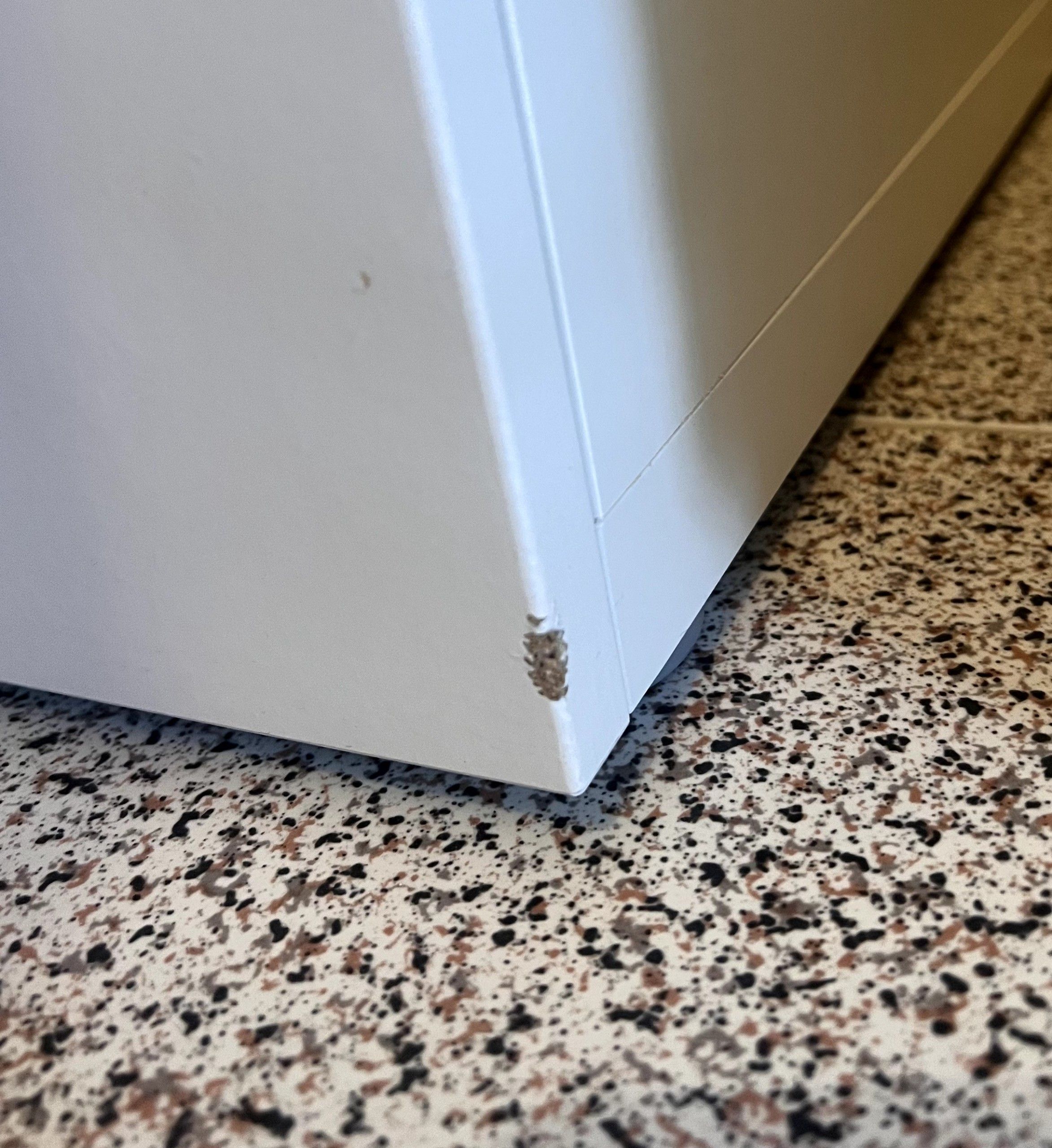 Seller photo