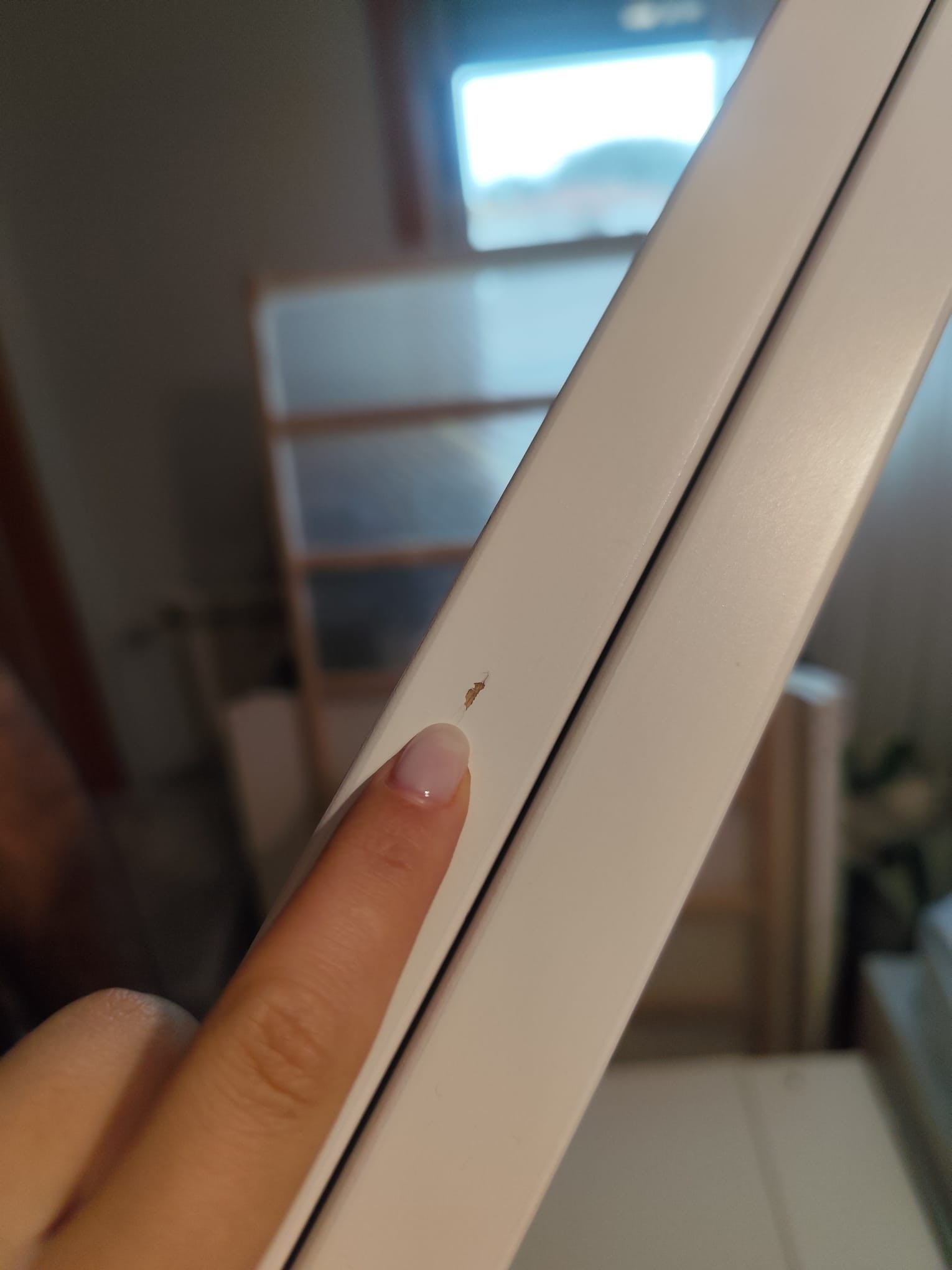 Seller photo
