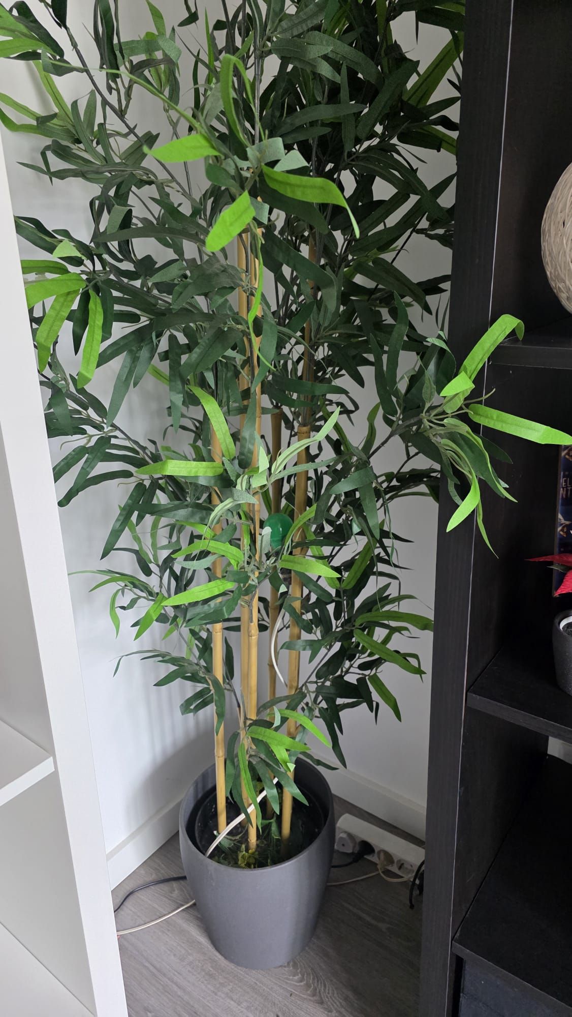 Seller photo