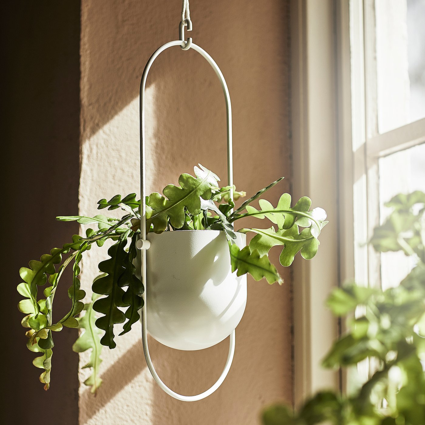 IKEA catalogue photo