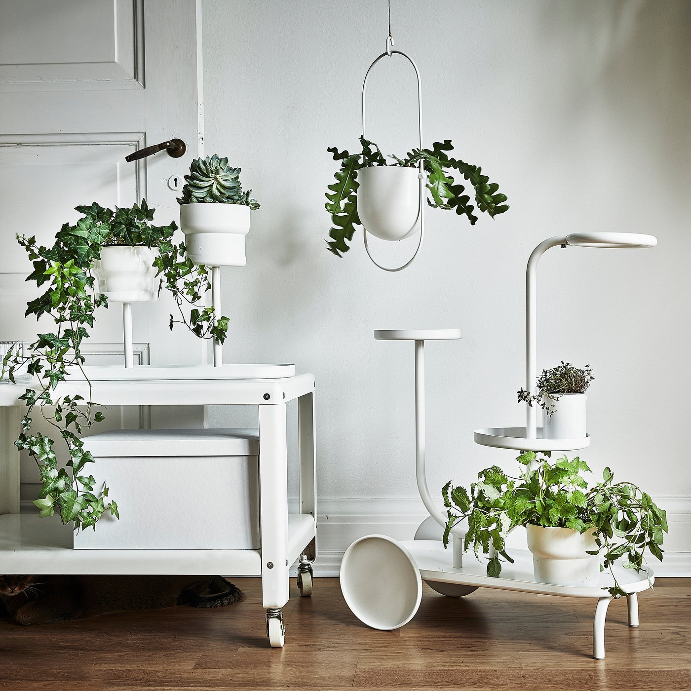 IKEA catalogue photo