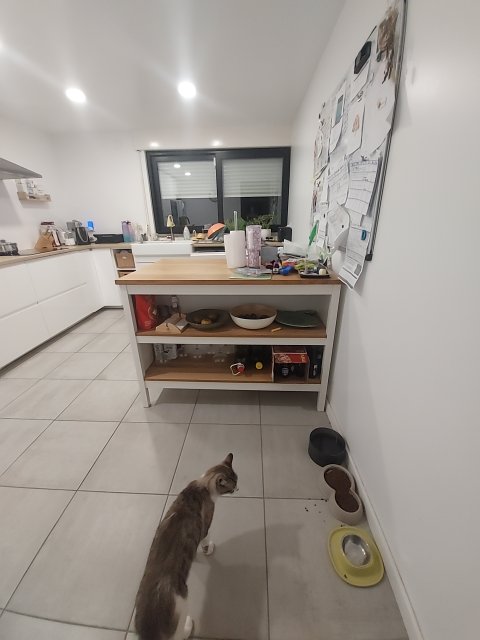 Seller photo