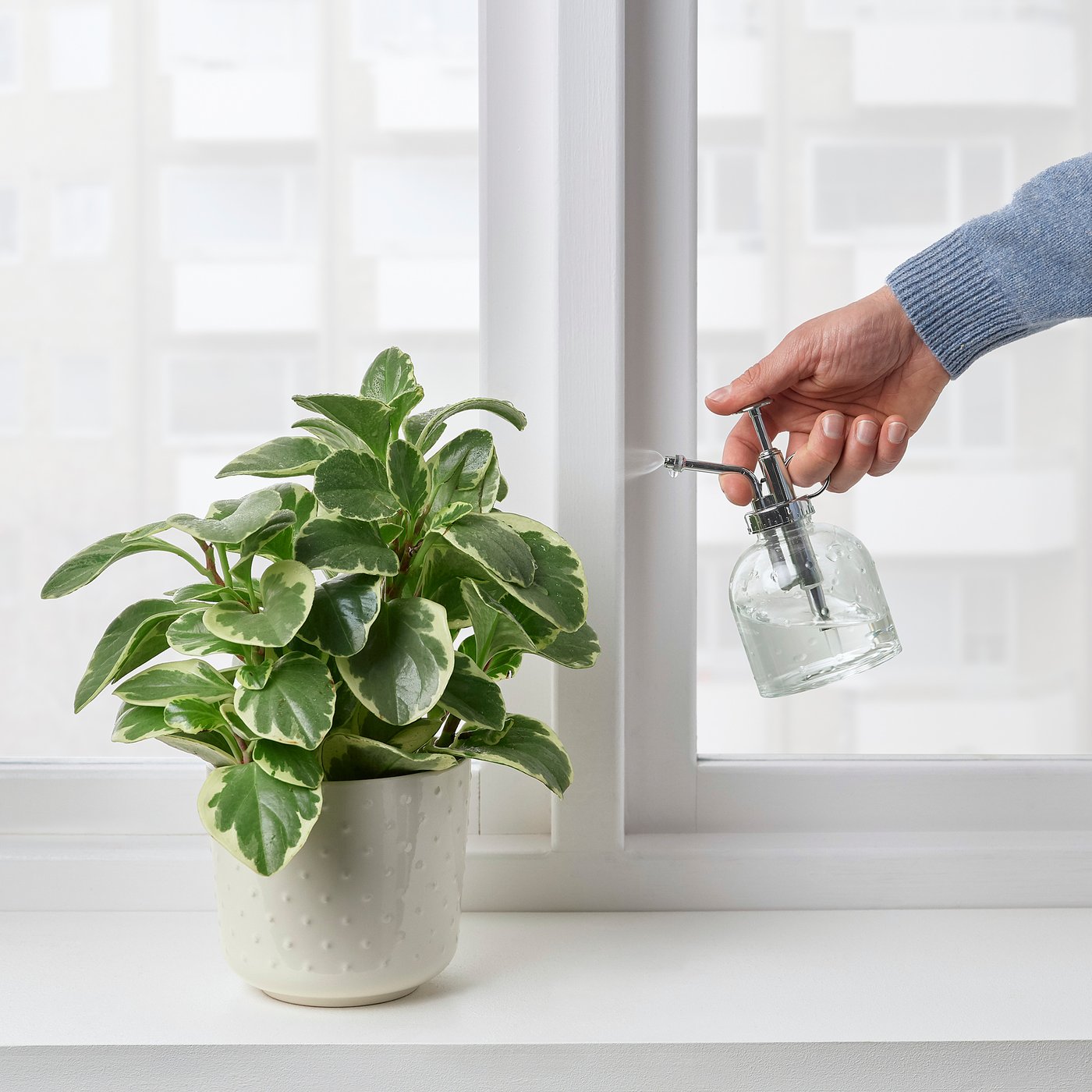 IKEA catalogue photo